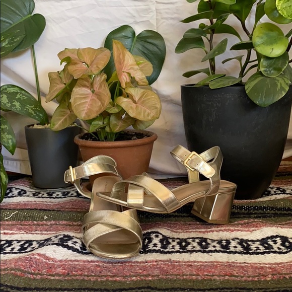 14th & Union Shoes - Chunky Heel